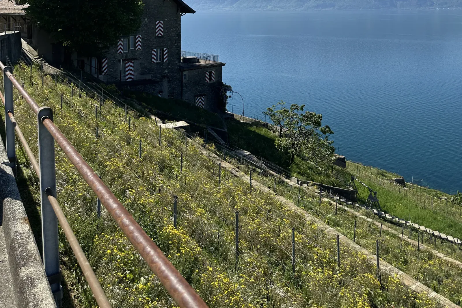 HBS students in the Swiss Riviera region
