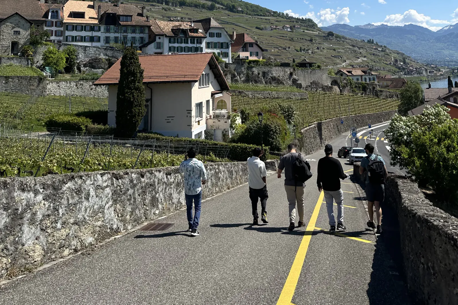 Students together in the Swiss landscape